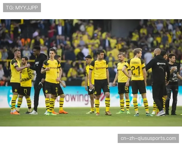 德甲竞争格局更健康 有助提升联赛国际影响力商业价值